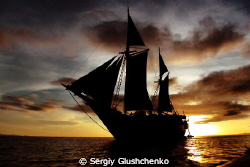 Sailes by Sergiy Glushchenko 